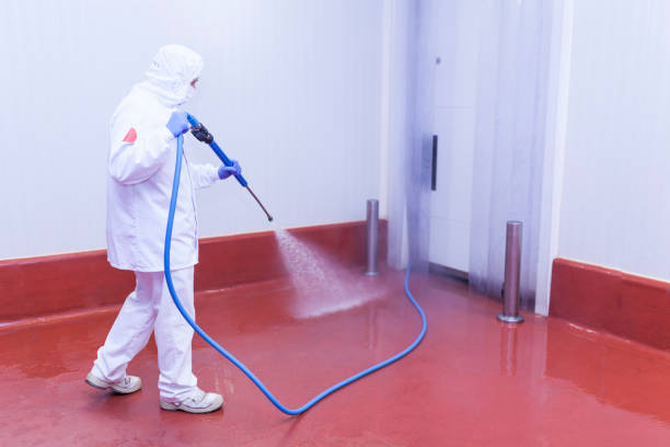 Best Solar Panel Cleaning  in Riverview, FL
